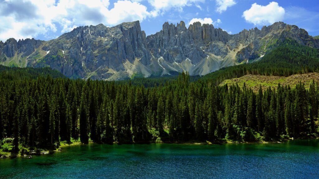 boris misevic iq4tl7buzsy unsplash