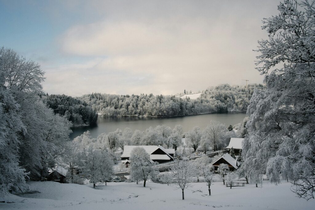 fabian bachli fivrg82sjlo unsplash