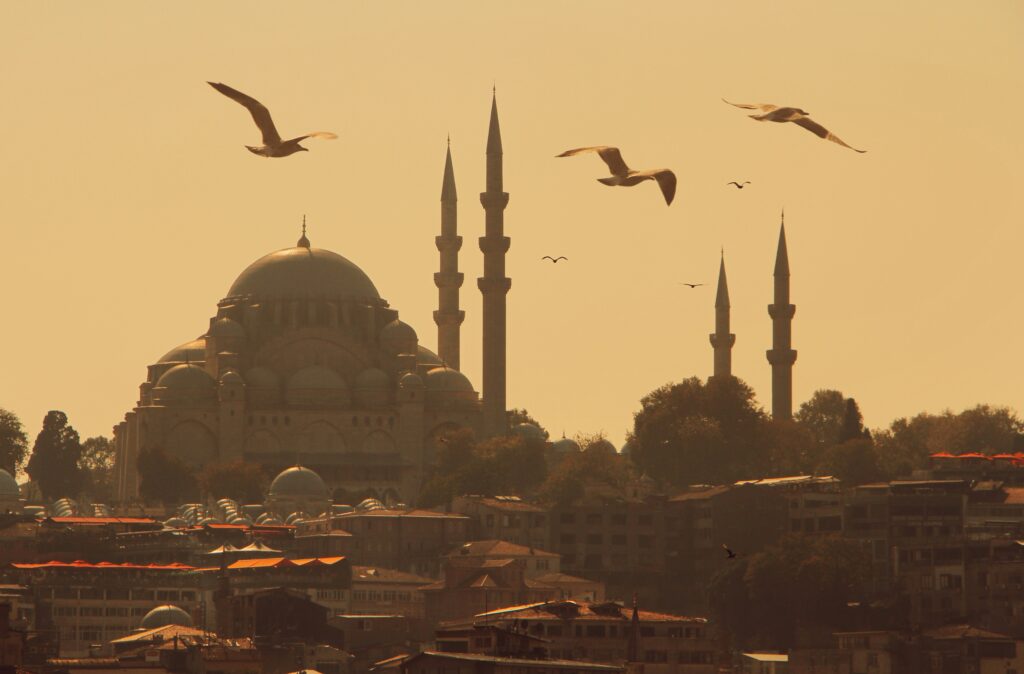 hasan almasi wgewuvlrziu unsplash