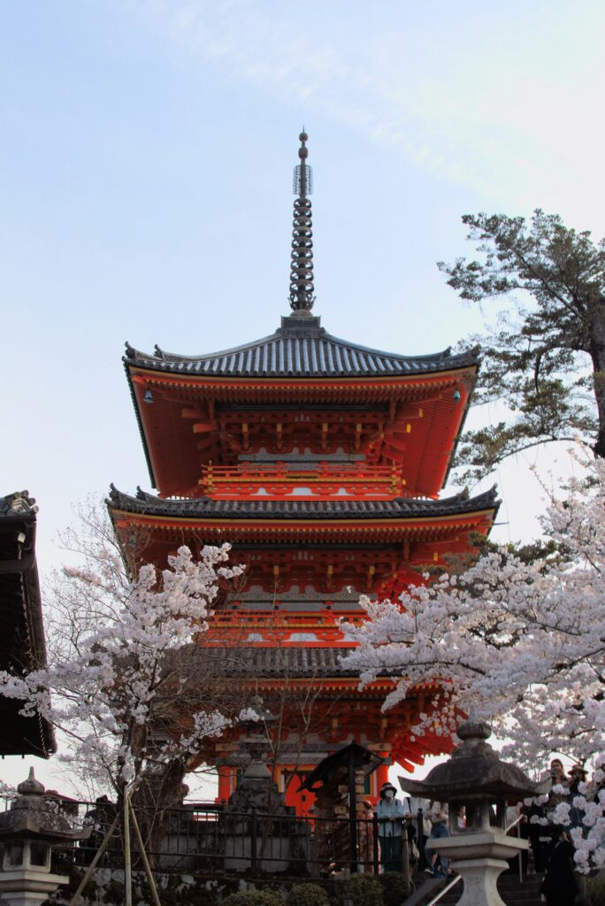 Soft pink cherry blossoms framing a traditional Kyoto street.