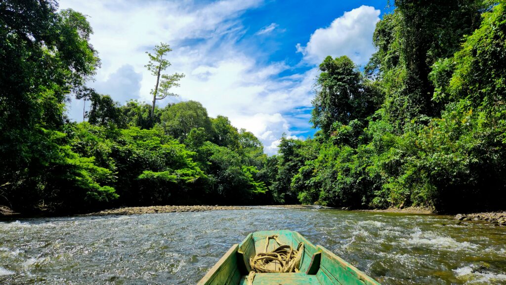 ryan o niel wh4hjpyigvc unsplash