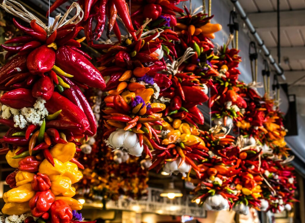 zoi palla nm6jyyhoy9u unsplash